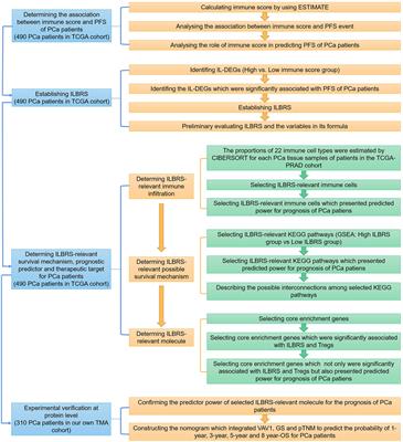 Screening to Identify an Immune Landscape-Based Prognostic Predictor and Therapeutic Target for Prostate Cancer